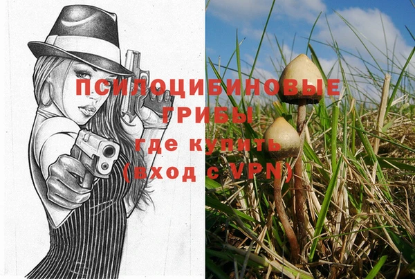 мескалин Балахна
