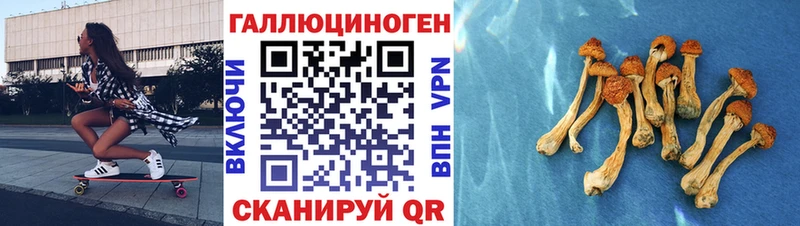 Галлюциногенные грибы MAGIC MUSHROOMS  где продают наркотики  Нахабино 